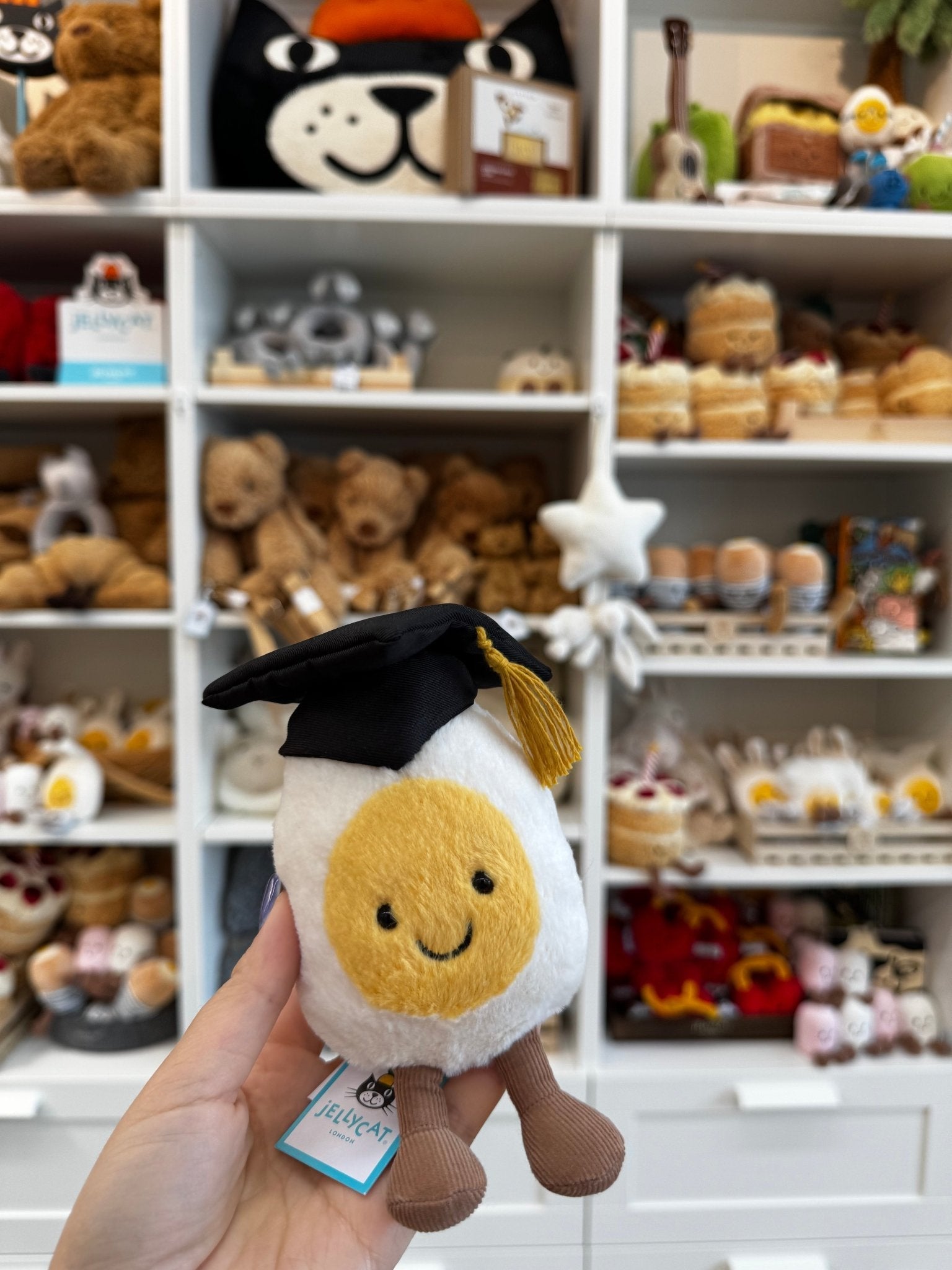 Amuseables Boiled Egg Graduation
